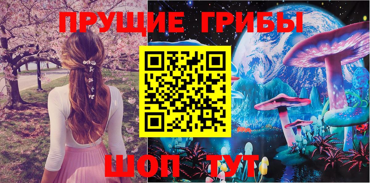 Владикавказ  Псилоцибиновые грибы прущие грибы  Вход с VPN 